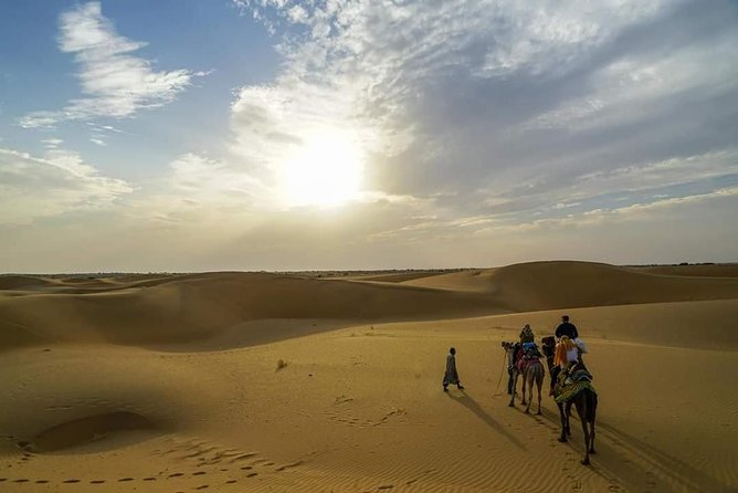 Camel Safari in Thar Desert - Camel Safari Experience Highlights