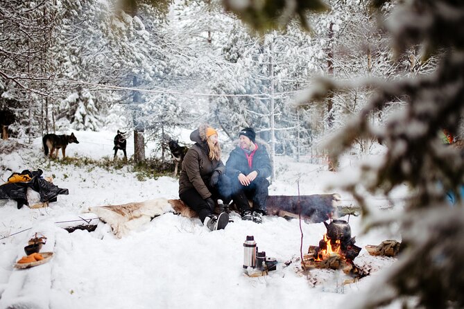 Campfire Tour With Huskies and Dinner - Cancellation Policy