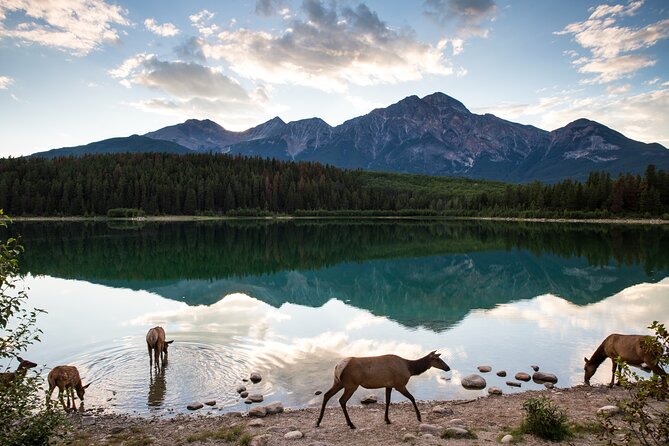 Canmore: Best of Banff National Park - Private Tour - 4hrs - Good To Know