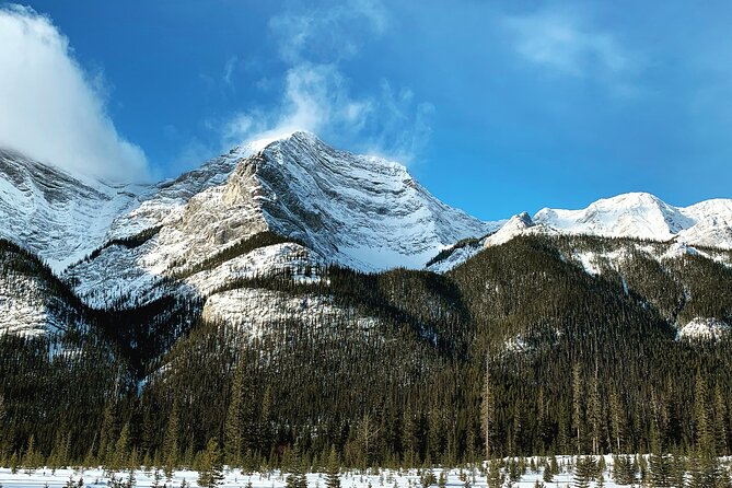 Canmore: Mountain Drive and Nature Walk - Private Tour 4hrs - Inclusions