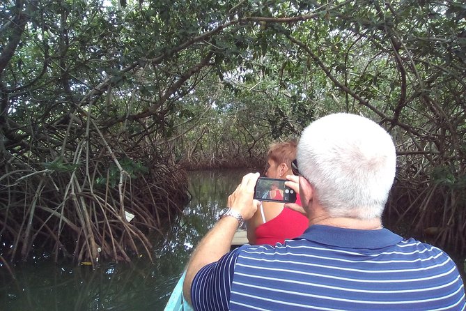 Canoe Through Cartagena's Mangroves: Guided Discovery - Tour Itinerary