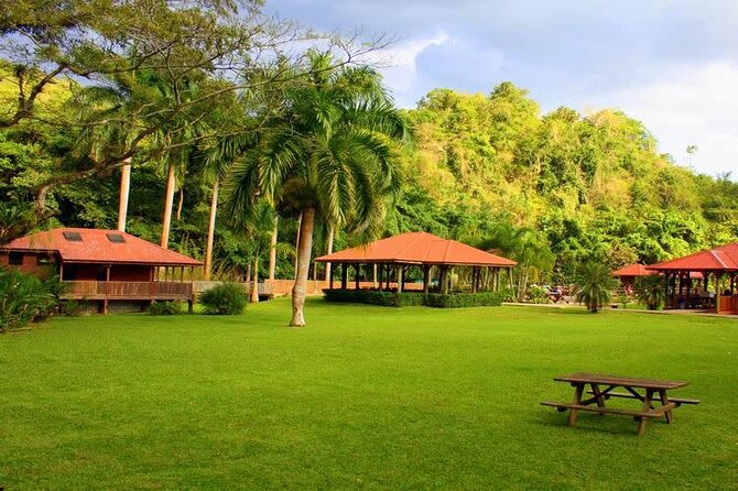 Canopy Countryside Private Day Trip Tour From Montego Bay - Duration and Admission