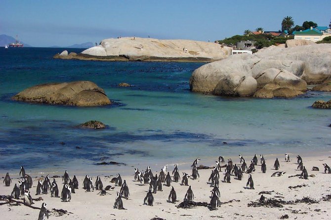Cape Town 3-Days Attraction Tours: Helicopter Tour - Wine Tasting - Cape Point - Wine Tasting Experience