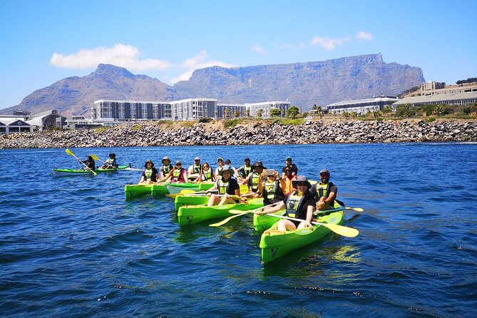 Cape Town Sea Kayaking Adventure Launching From V&A Waterfront - Wildlife Spotting Opportunities