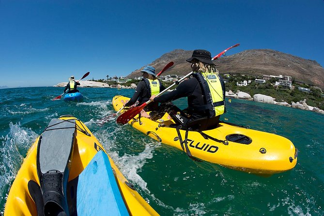 Cape Town: Sea Kayaking Near Penguins Tour - Equipment and Safety