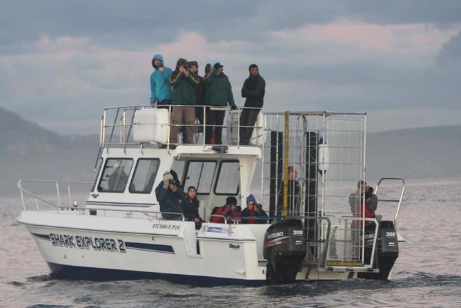 Cape Town Shark Cage Diving in Gaansbaai With Transfers  - Western Cape - Inclusions