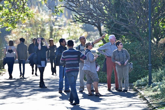 Cape Town Walking City Tour - Whats Included