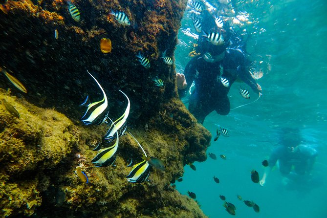 Cape Vidal Snorkeling Adventure - Tour Details and Booking Information