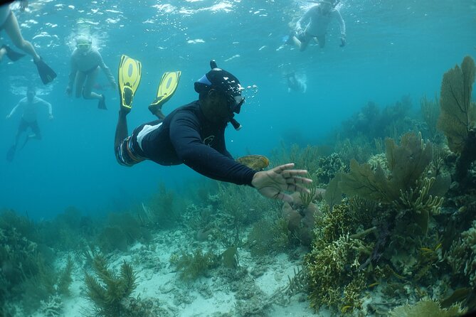 Captain Jaks Tours: Snorkel Adventure at Laughing Bird Caye - Tour Operator Details