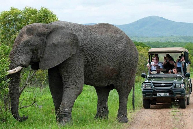 Captivating 3 Day Kruger Safari Adventure From Johannesburg - Common Questions