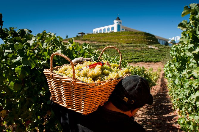 Casablanca Valley and Four Vineyard Wine Tour From Santiago - Tour Overview and Highlights
