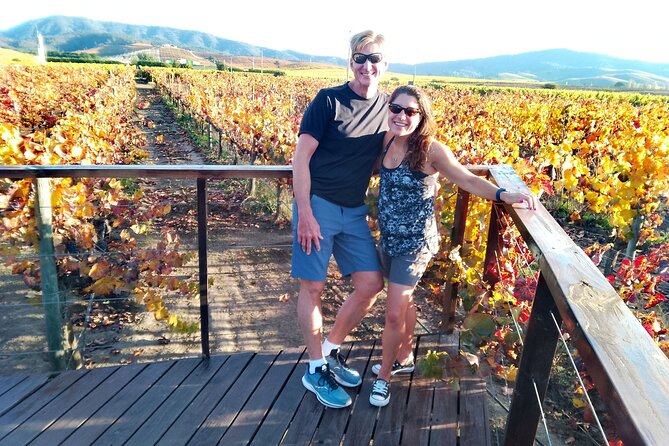 Casablanca Valley & Casa Del Bosque - 3 Vineyards - Full Day - Casa Del Bosque Winery Experience
