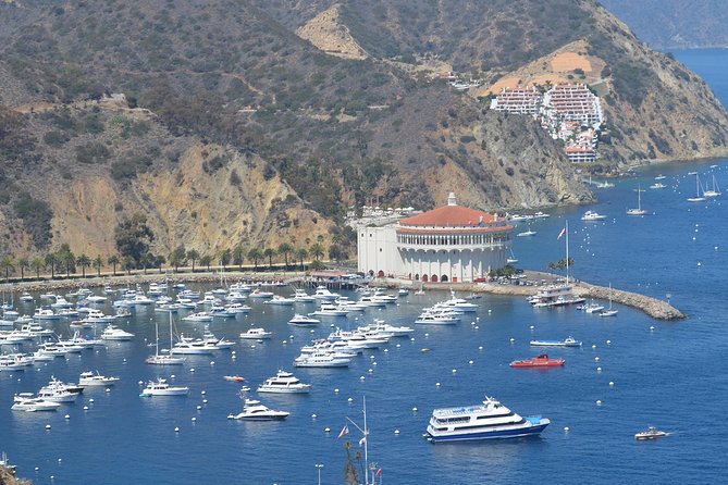 Catalina Island Day Trip From Anaheim Hotels With Discover Avalon Tour - Inclusions