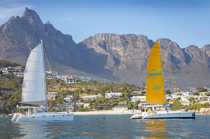 Catamaran Cruise in Cape Town - Overview of the Cruise