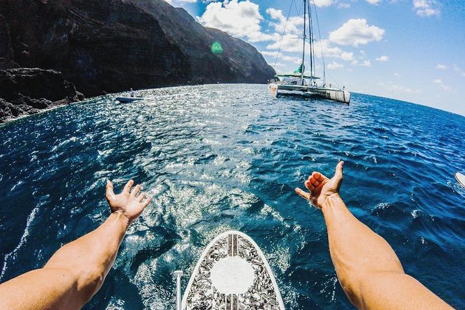 Catamaran Day Cruise to Desertas Islands From Funchal - Traveler Photos and Reviews