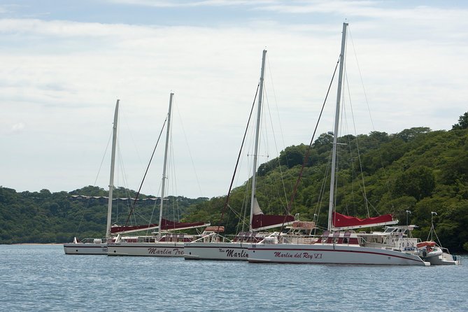 Catamaran Sailing & Snorkeling From Playa Hermosa - Experience Inclusions