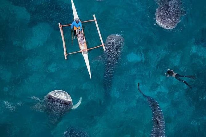 Cebu: 3 Days 2 Nights in Private Cebu Tour - Exclusive Inclusions