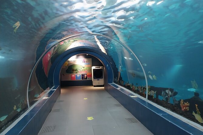 Cebu Ocean Park - Location and Ticket Information