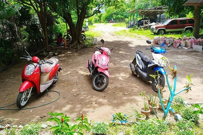 Cebu: Transport - Car-Van-Motorbike-Boat - Pricing and Booking Details