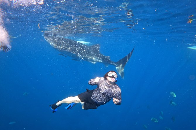 Cebu Whalesharks, Sumilon Whitesand & Kawasan Waterfalls - Booking Details