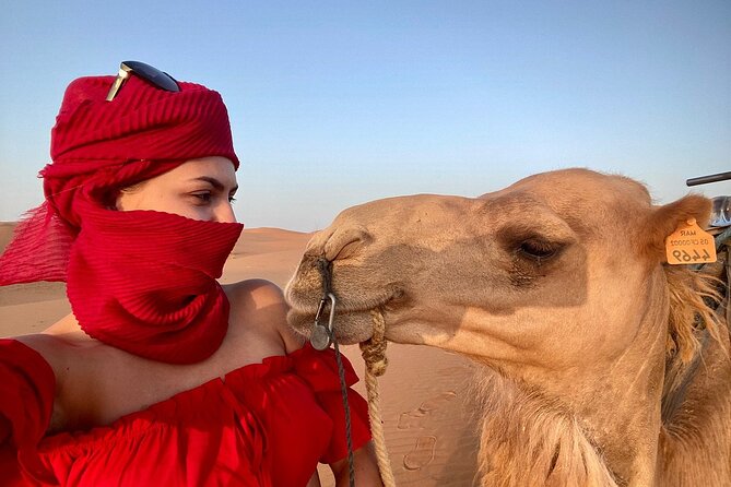 Cheapest 2-Day Tour From Fes to Merzouga Desert: Taxi Option - Pricing and Additional Information