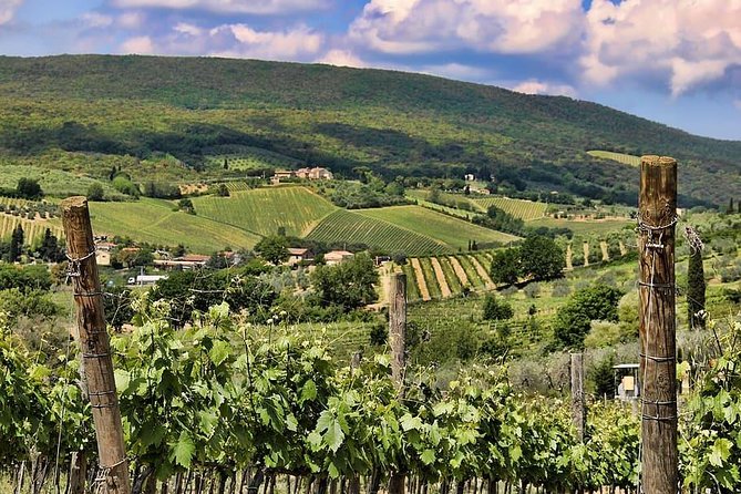 Chianti: Eno-Excursion Through the Vineyards - Vineyard Hopping: Tasting Extravaganza