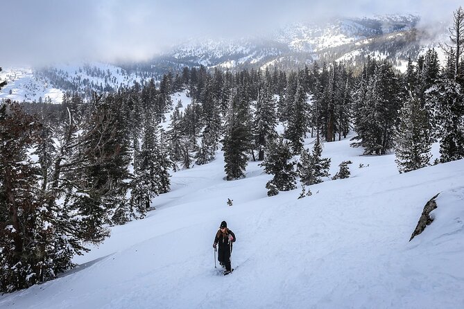 Chickadee Ridge Beginner Snowshoe Activity - Required Equipment
