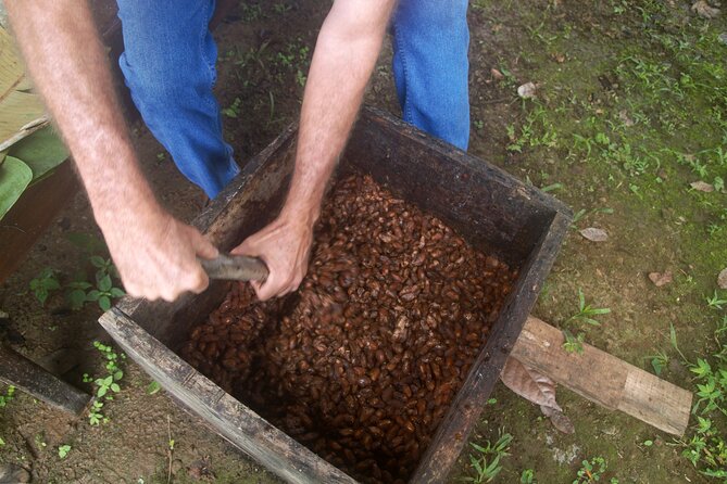 Chocolate and Farm Tour With Local Tico Family - Farm Experience
