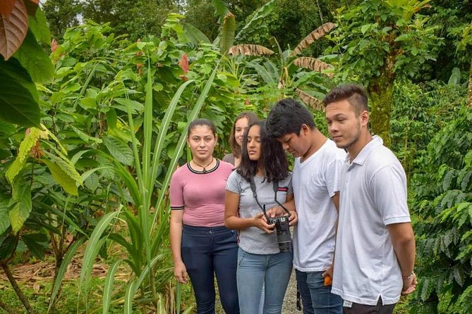 Chocolate Tour (Cacao Plantation) - Experience Highlights