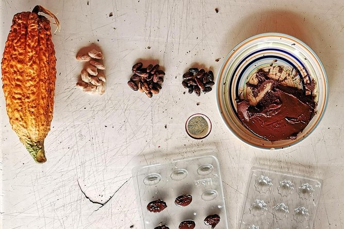 Chocolate Tour In Medellin: A Great Farm Experience - Private Tour - Inclusions