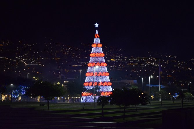 Christmas Lights Tukxi Tour (Price per Tukxi - up to 5 People) - Tour Inclusions and Meeting Points