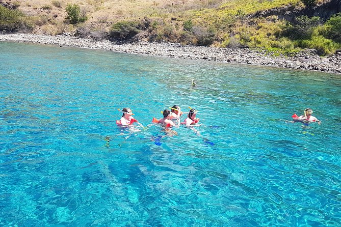 Christophe Harbour Stand-Up Paddleboard and Snorkeling Tour  - St Kitts - Booking Process