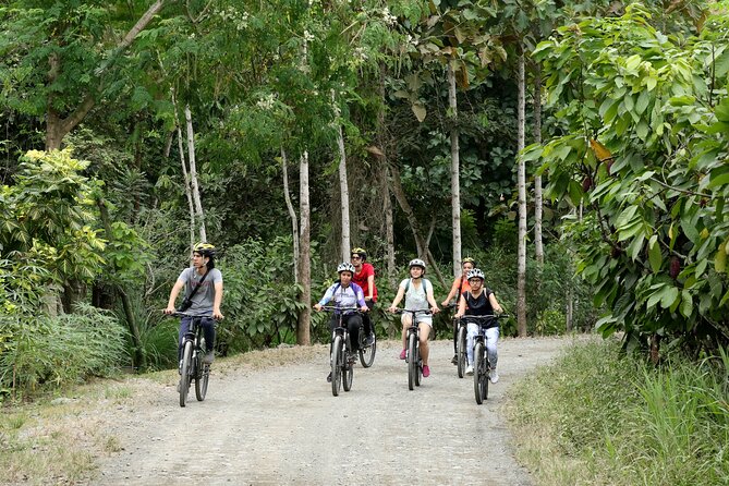 Cocoa Biking Tour - Pricing and Guarantee