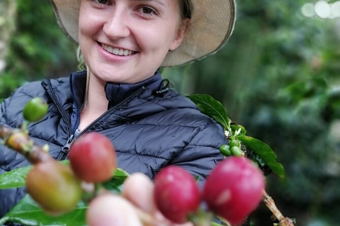 Cocora Valley, Salento and Coffee Farm Day Tour - Booking Information and Flexibility