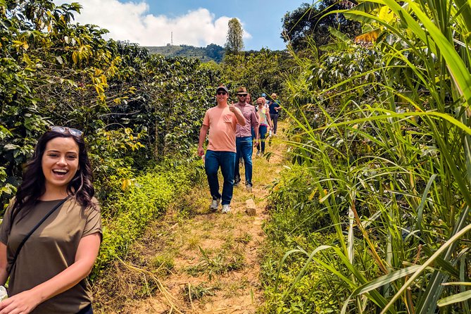 Coffee Half-Day Tour in Medellín: From the Seed to the Cup - Traveler Reviews