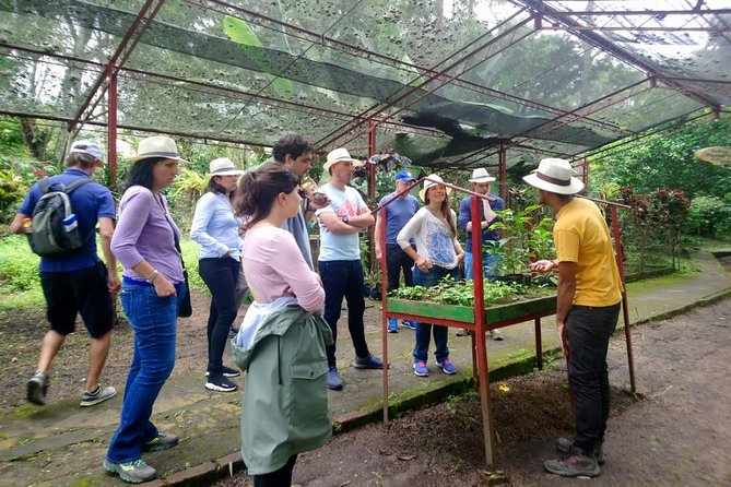 Coffee Tour in Hacienda Coloma in Fusagasugá From Bogotá (Private Tour) - Good To Know