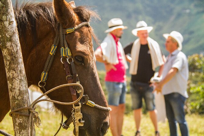 Coffee Tour In Horse Riding and Lunch In Medellin - Cancellation Policy
