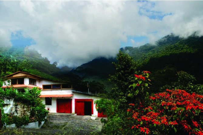Coffee Tour La Victoria and Waterfalls in Minca - Private Tour - Tour Overview and Highlights