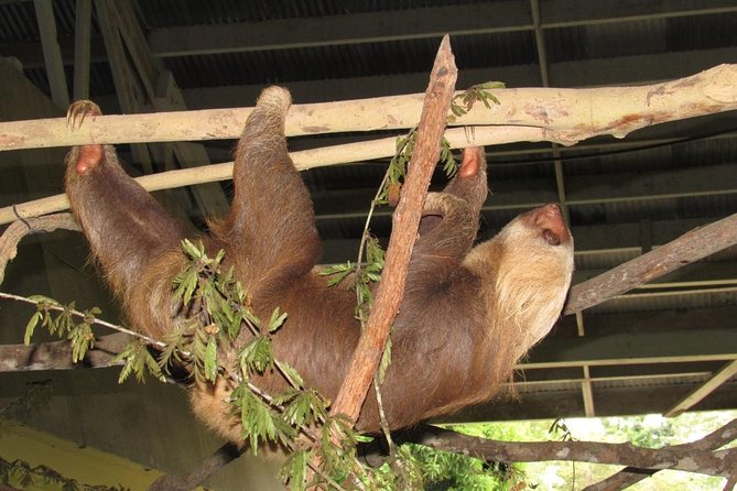 Combo: Gatun Lake & Canal Wildlife Boat Tour and Sloth Sanctuary - Cancellation Policy