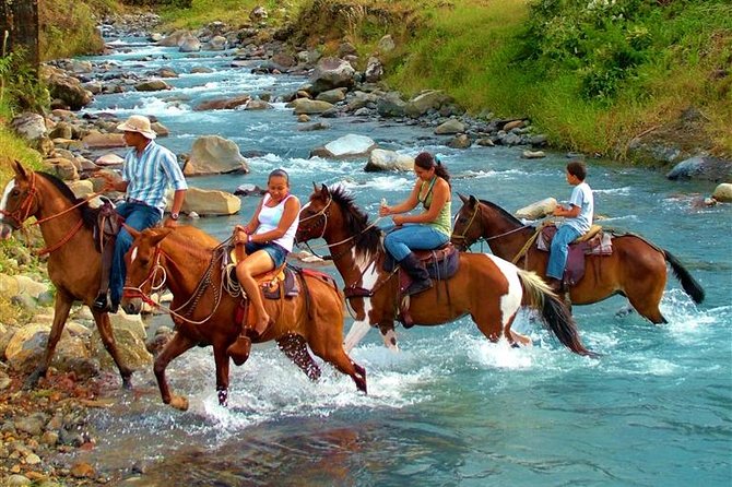 Combo Tour Blue River, Botanical Garden, Hot Springs, and Dino Park - Inclusions and Exclusions