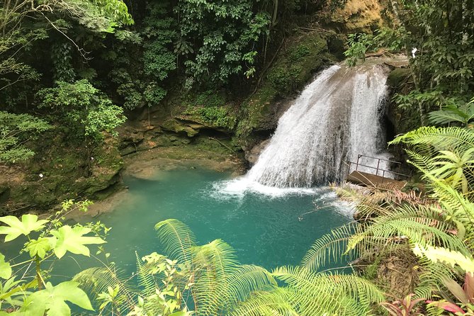 Combo Tour Dunns River Falls and Bluetour From Falmouth - Cancellation Policy
