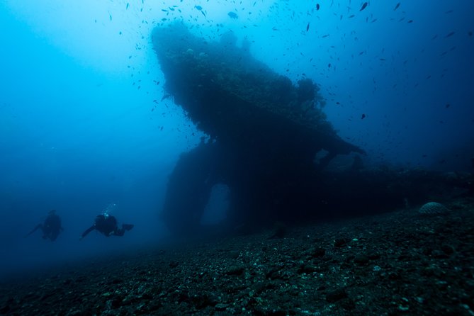 Coral Garden and Liberty Shipwreck Beginner Scuba Diving Tour  - Tulamben - Inclusions and Facilities