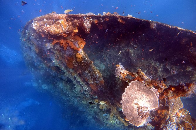 Coral Garden and Liberty Shipwreck Intro to Scuba Diving  - Ubud - Pickup and Transportation Details