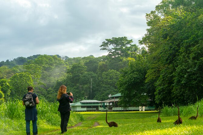 Corcovado and Drake Bay 2-Day Small-Group Safari Guided Tour - Accommodations and Amenities
