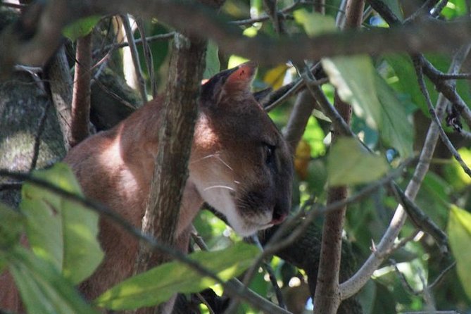 Corcovado Tour-1 Night at Sirena Station-Starting and Finishing in Drake Bay - Inclusions and Logistics