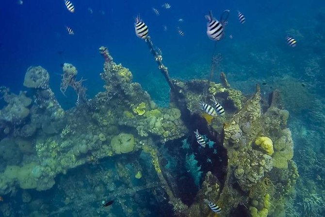 Coron Island Tour B (Private) - Review Details