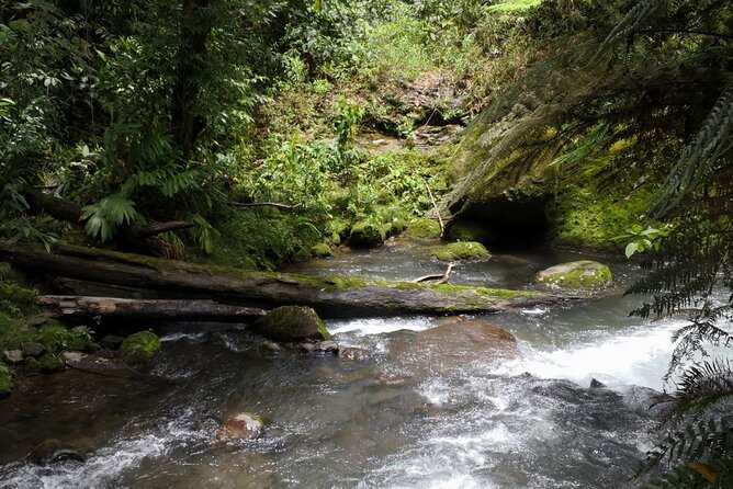 Costa Rica's Volcanic Wonders Await: Guided Adventure - Poas Volcano National Park Exploration