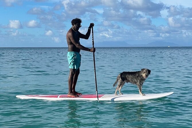 Crabbe Hill Beach Private Sunset Paddleboard - Whats Included