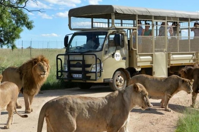 Cradle of Human Kind & Lion & Rhino Park Tour Full Day Tour Private - Itinerary Overview