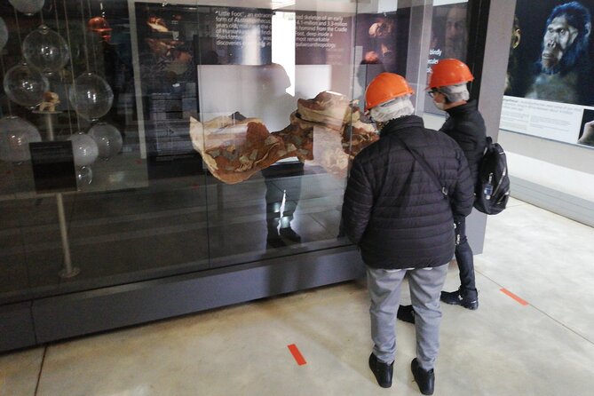 Cradle of Humankind Tour - Tour Details